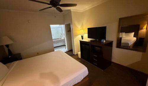 Room, 1 King Bed, Smoking