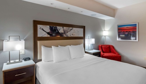 Standard Room, 1 King Bed, Accessible, Refrigerator & Microwave