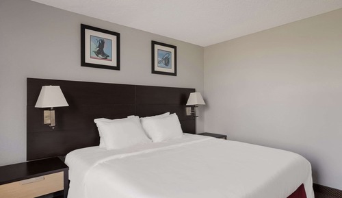 Room, 1 King Bed, Accessible, Non Smoking