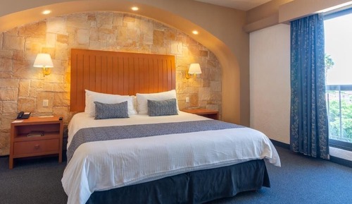 Junior Room, 1 King Bed