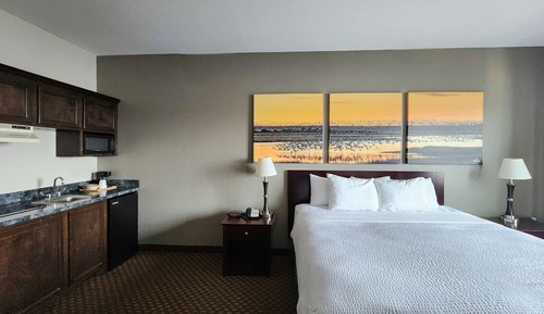 Studio Suite, 1 King Bed, Non Smoking