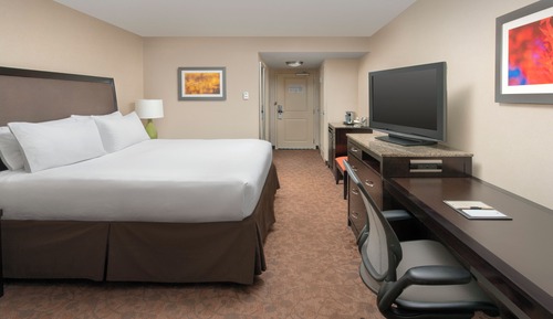 Room, 1 King Bed