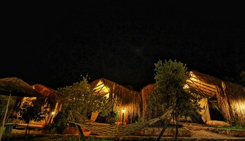 Design Tent