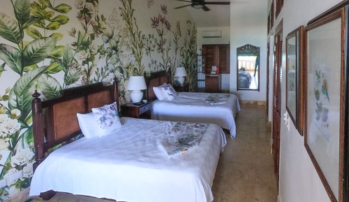 La Mariposa - Suite Tropical Jr.