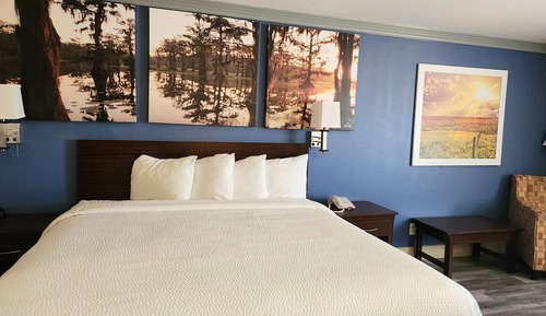 Room, 1 King Bed, Accessible, Non Smoking (Roll-In Shower)