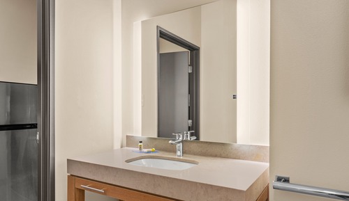 Studio Suite, 1 King Bed, Roll-in Shower (Mobility)