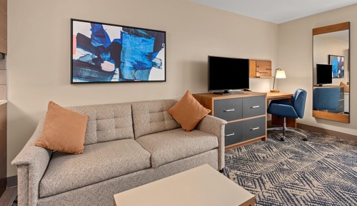 Studio Suite, 1 King Bed with Sofa bed