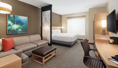 Room, 1 King Bed with Sofa bed, Accessible (with Shower)
