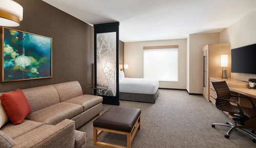 Room, 1 King Bed with Sofa bed (High Floor)
