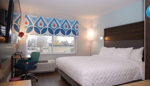 Room, 1 King Bed