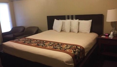 Suite, 1 King Bed, Non Smoking