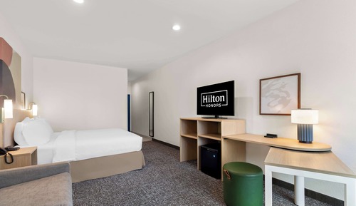 Room, 1 King Bed with Sofa bed