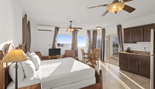 Standard Studio, 1 King Bed, Non Smoking, Kitchen