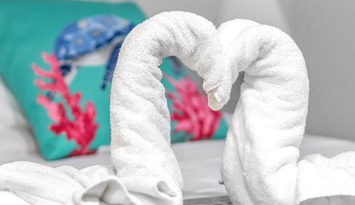 3 - Deluxe Queen One Bedroom Suite w/ Full Couch Bed