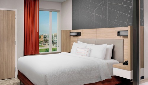 Suite, 1 King Bed with Sofa bed