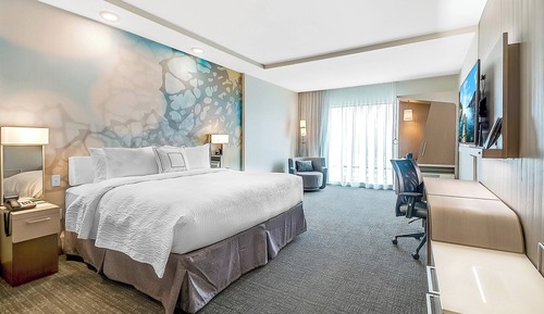 Room, 1 King Bed with Sofa bed