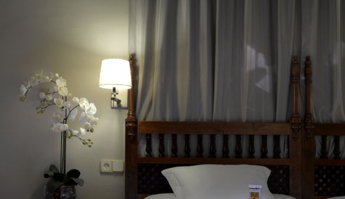 Standard Twin Room (3 adults)