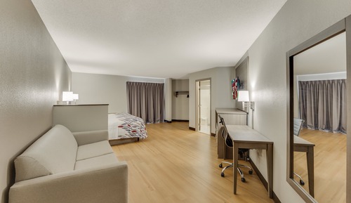 Standard Suite, 1 King Bed with Sofa bed, Non Smoking