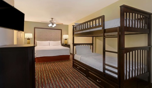 Room, Multiple Beds