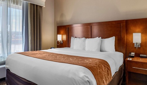 Suite, 1 King Bed with Sofa bed, Non Smoking