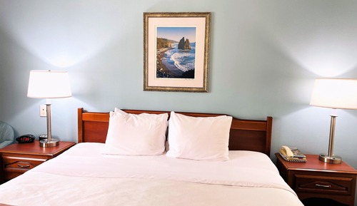 Room, 1 King Bed, Accessible, Non Smoking