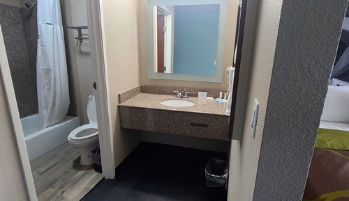 Deluxe Suite, 1 Bedroom, Non Smoking (1 King Bed)