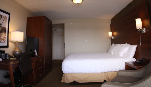 Standard Room, 1 King Bed, Patio or Balcony, Lake View