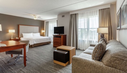 Studio Suite, 1 King Bed