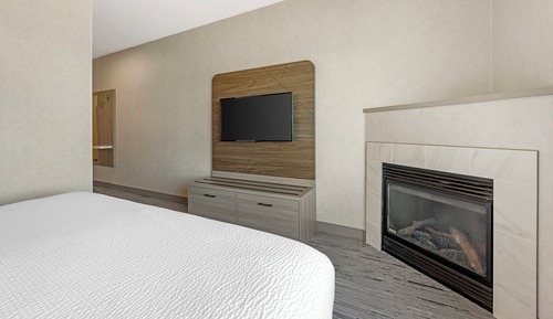 Suite, 1 King Bed with Sofa bed