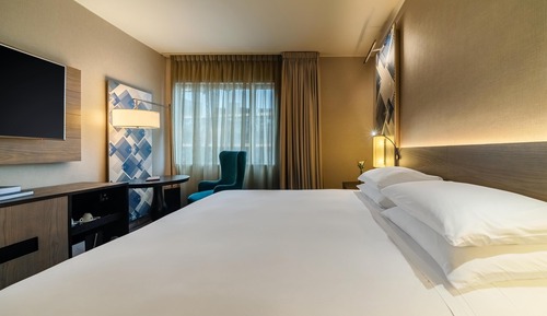 Room, 1 King Bed