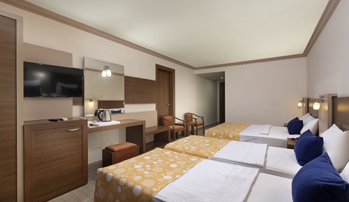 Standard Land View Room