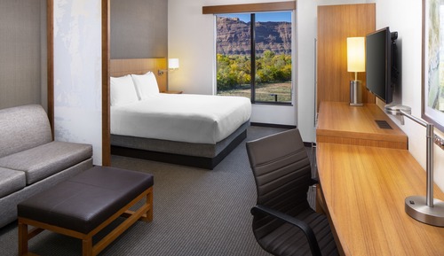 Room, 1 King Bed with Sofa bed