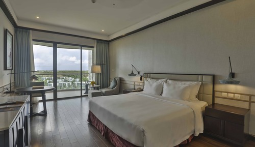 Deluxe King Bed - VinWonders Park Access