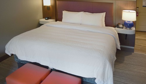 Deluxe Room, 1 King Bed with Sofa bed
