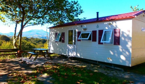 Mobile Home