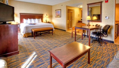 Room, 1 King Bed with Sofa bed