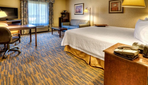 Room, 1 King Bed with Sofa bed