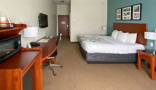 Room, 1 King Bed, Non Smoking