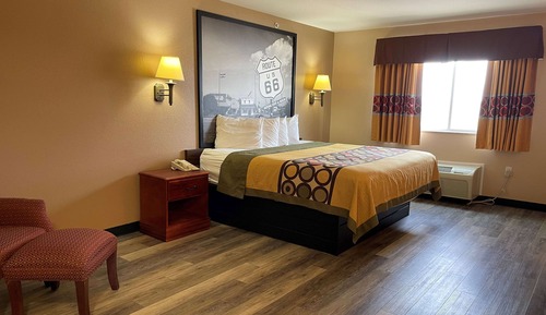 Room, 1 King Bed, Non Smoking (Pet-Friendly)