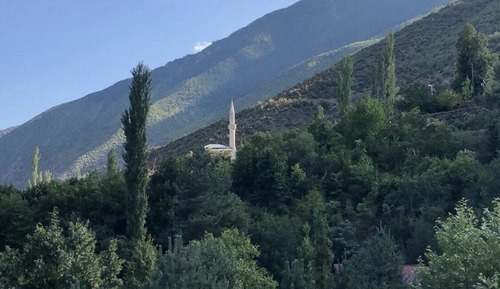 Basic Double Room Single Use, Non Smoking, Garden View