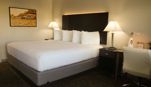 King King Suite