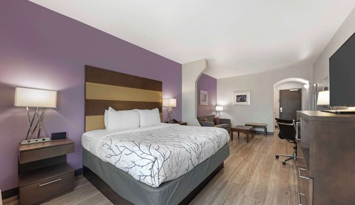 Suite, 1 King Bed, Non Smoking, Refrigerator & Microwave (Shower Only;with Sofabed)
