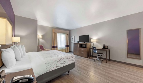 Standard Room, 1 King Bed, Accessible, Bathtub