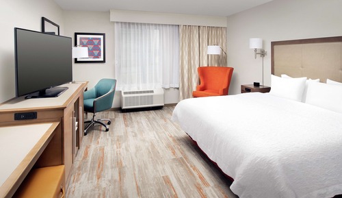 Room, 1 King Bed with Sofa bed, Accessible, Bathtub
