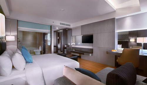Deluxe Double or Twin Room