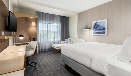 Room, 1 King Bed