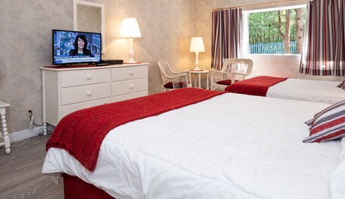 Standard Room, Multiple Beds (Moderne)