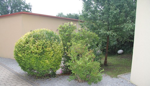 Bungalow