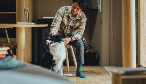 Simple Room [Dog-Friendly, Mt. Fuji View]