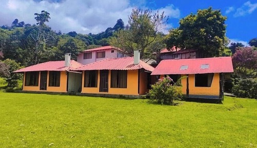 Family Cabin